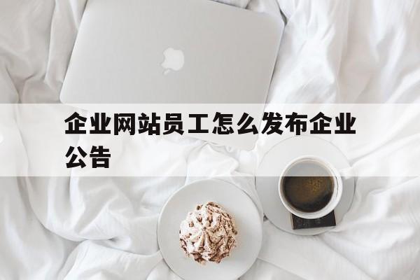 企业网站员工怎么发布企业公告_企业网站发布管理办法 企业网站员工怎么发布企业公告_企业网站发布管理办法